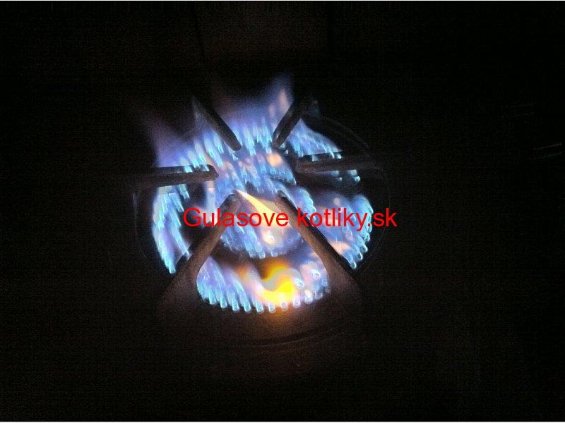 Trojhorákový plynový varič T.G. WOK 9,2 kW
